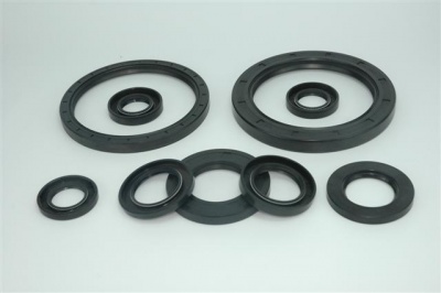 Uszczelnienie-AO- 70.00x 95.00 x13.00